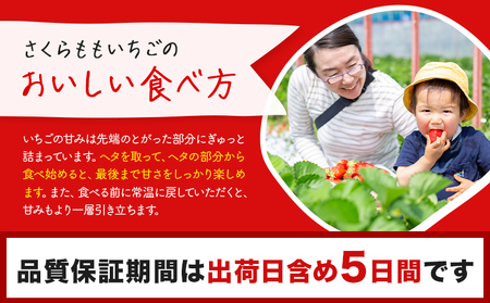 さくらももいちご 4パック 佐那河内村限定いちご