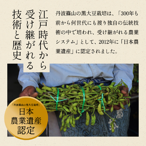 【先行予約】丹波黒枝豆 濃厚 500g×2袋 晩摘み 枝豆  [CU11]