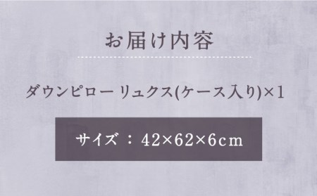 ダウンピロー リュクス 枕 羽毛 まくら ホワイトダウン70％ 無地 ホワイト《壱岐市》【富士新幸九州】 [JDH065] 49000 49000円