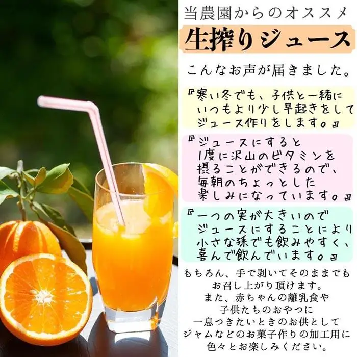 訳あり 清見オレンジ 混合 10Kg【令和9年3月から発送】清見オレンジ 