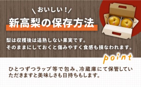 【2026年9月中旬?発送】【シャリッと食感がたまらない！】新高梨 2玉 / 梨 なし 南島原市 / ふるさと企画 [SBA007]