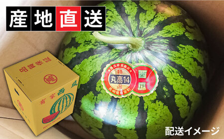 【2026年5月下旬-発送】大玉羅皇 スイカ 1玉 [SBA013] すいか