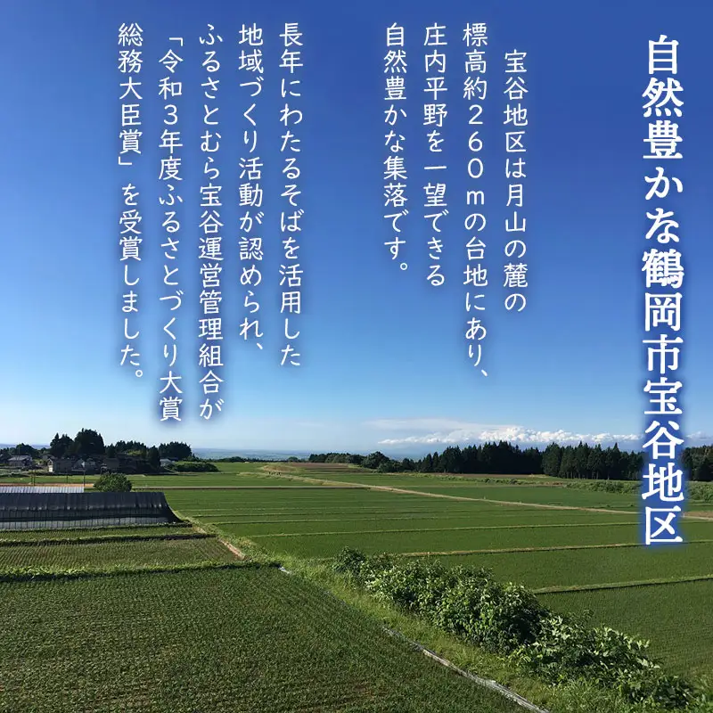鶴岡市宝谷産「でわ宝」宝谷そば（乾麺）200g × 6袋