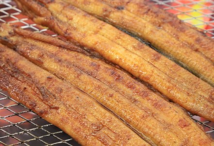 【愛知県三河一色産】活うなぎの蒲焼き 1尾（約150g）（11-53）