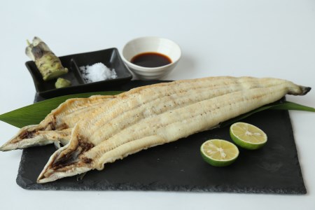 【愛知県三河一色産】活うなぎの白焼き 1尾（約150g） （11-54）