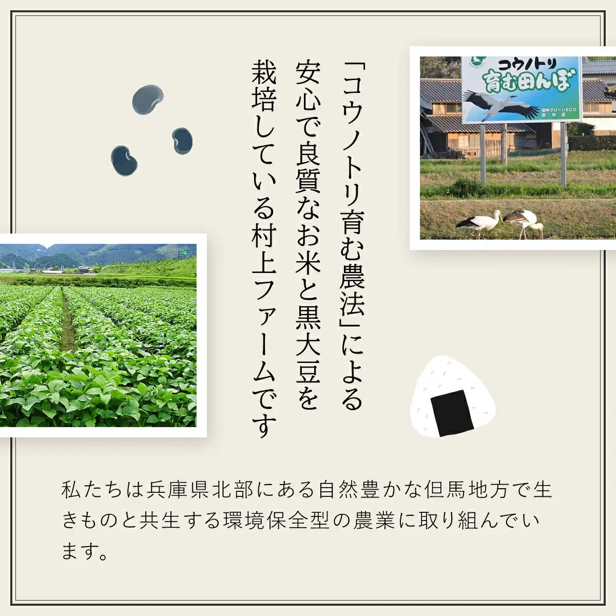 村上ファームさんの丹波黒大豆の黒豆煮330g (固形量200g) 黒豆煮 黒豆 黒大豆煮 黒大豆 大豆 ダイズ だいず クロマメ くろまめ 黒ダイズ クロダイズ くろだいず 丹波黒豆 丹波豆 煮豆 豆煮 にまめ おせち お正月料理 おせち料理 兵庫県 朝来市 AS1AC19