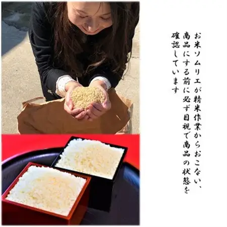 茨城県産コシヒカリ風のひかり5kg_ 精米 米    コシヒカリ 米 こしひかり_【1342907】