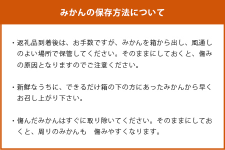 【先行予約】（2026年11月上旬～発送）”わーがと”鹿島産がばい訳アリみかん 約10kg【サイズ別】 【期日指定不可】みかん ミカン 蜜柑 柑橘 果物 フルーツ 甘い ふるさと納税 佐賀県 鹿島市 A-90