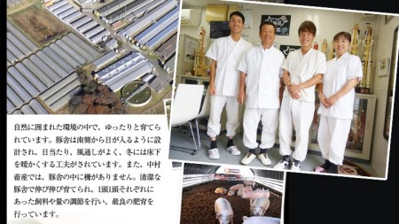 【茨城県共通返礼品／行方市】 美明豚 × 常陸牛 しゃぶしゃぶ用 食べ比べセット 約1,700g 豚肉 牛肉 豚 牛 ひたち牛 SPF ブランド牛 ブランド豚 詰め合わせ 食べ比べ セット 贈答用 国産 黒毛和牛 最高級 ロース バラ[CF004ya]