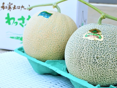 【ふるさと納税】≪令和8年産予約≫わっさむ産メロン（赤・青各1玉）【7～8月お届け】