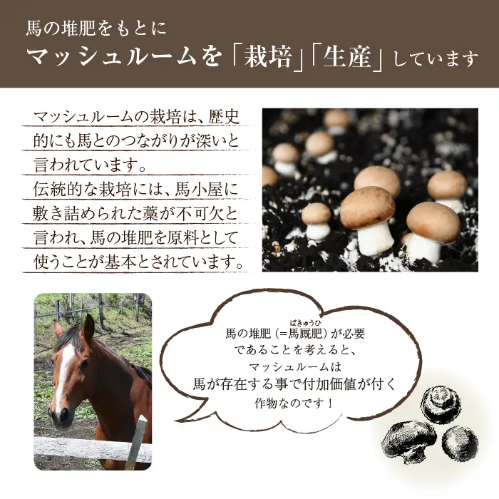馬活堆肥（マッシュルーム堆肥）22L×1袋 ／ たい肥 たいひ ガーデニング 畑 庭木 家庭菜園 花 植木 植物 庭 農作物 作物 野菜 造園 庭木 果樹 土作り 花壇 苗木 マルチング ベランダ菜園 おすすめ オススメ 【ジオファーム】