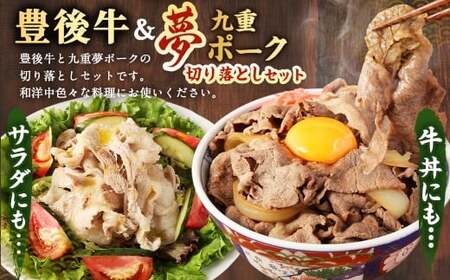 大分県産 ブランド牛 ・ 豚 豊後牛 × 九重夢 ポーク 切り落とし 1.35kg セット