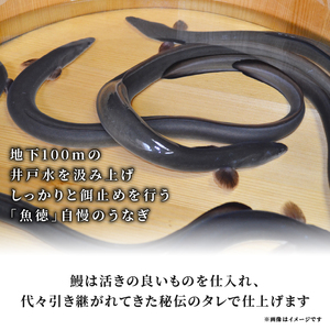 うなぎ 鰻 おにぎり 6個入 冷凍 蒲焼 切り身 入り 焼きおにぎり 高級 丑の日 父の日 母の日 焼き うなぎり 取り寄せ ギフト 老舗 創業 170年 魚徳 埼玉県 羽生市 