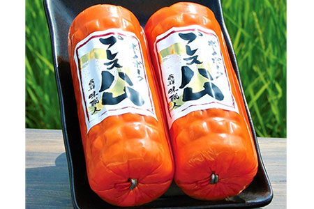 【飛騨 味職人】ボーノポークプレスハム（約390g×2本）【57-12】