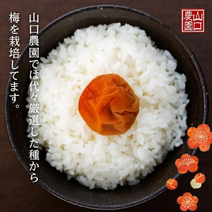完熟南高梅使用　うす塩熊野梅干　800g　まろやか仕立て（塩分10％）｜梅干し