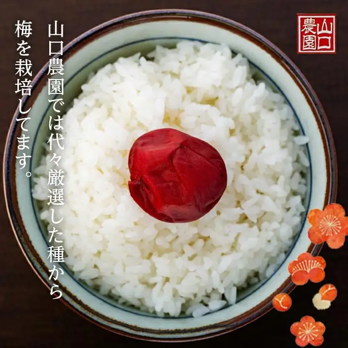 完熟南高梅使用　しそ熊野梅干　800g　まろやか仕立て（塩分10％）｜梅干し