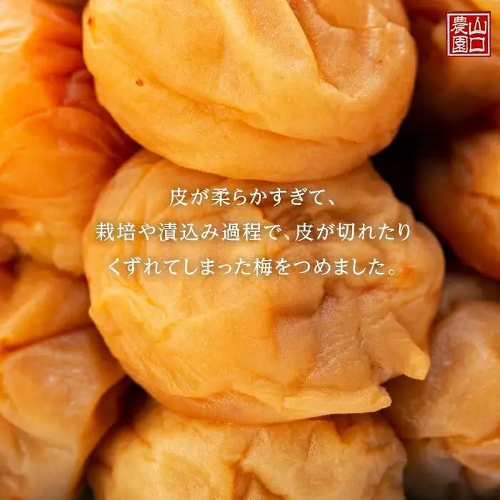 完熟南高梅使用　くずれ梅　はちみつ熊野梅干1kg　超フルーティ（塩分8％）【訳あり】｜梅干し