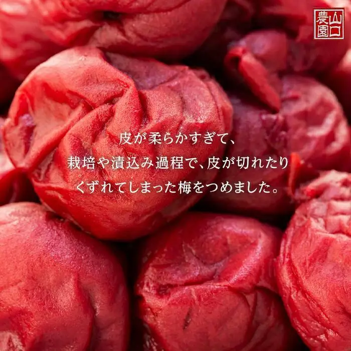 完熟南高梅使用　くずれ梅　しそ熊野梅干　1kg　まろやか仕立て（塩分10％）【訳あり】