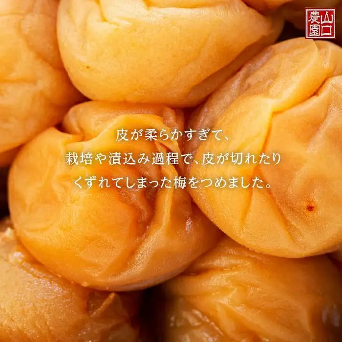 完熟南高梅使用　くずれ梅　うす塩熊野梅干1.5kg（500ｇ×3）まろやか仕立て（塩分10％）【訳あり】