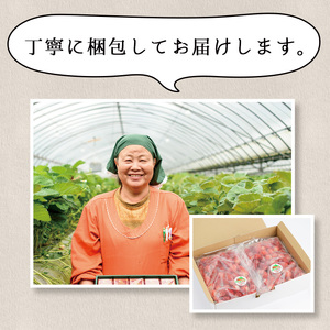 No.229 冷凍いちご(計約3.4kg・約850g×4P) 国産 九州産 苺 イチゴ 冷凍 果物 フルーツ 減農薬 アイス【片平観光農園】
