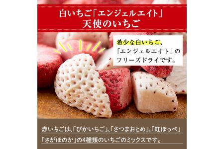 No.464 いちごのフリーズドライセット(赤いちご9g×3袋・白いちご8g×1袋) 国産 九州産 鹿児島県産 加工食品 加工品 苺 イチゴ 果物 くだもの フルーツ 小分け パック セット 保存食 常温 トッピング 保存料無添加 着色料無添加【ままりあ農園】
