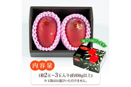 No.471 ＜先行予約受付中！2026年5月中旬から発送＞《期間・数量限定》完熟マンゴー2玉入り及び3玉入り(約950g以上)国産 九州産 フルーツ マンゴー ギフト 贈答 数量限定【さつま日置農協北部営農センター】