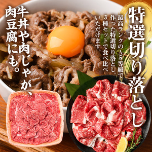 A5等級 鹿児島県産 黒毛和牛 すき焼き しゃぶしゃぶ 計700g 霜降り 赤身 切り落とし カミチク No.508-03 