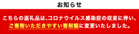 No.658 ＜訳あり・在庫過多＞南国酒造・HARAGUCHI高濃度エタノール(6本) アルコール 消毒 医薬品 衛生用品 訳あり 訳アリ【南国リカー】