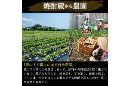 No.672 ＜本格芋焼酎＞西海の薫「白・黒」セット(紙パック・各1800ml・計6本) 鹿児島 九州 酒 芋 焼酎 いも焼酎 地酒 薩摩芋 さつま芋 アルコール 飲み比べ セット