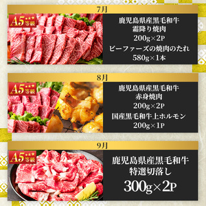No.754 ＜定期便・全12回(連続)＞お楽しみ！大人気の返礼品定期便(全12回・ステーキ、ハンバーグ、ローストビーフなど)牛肉 黒毛和牛 スライス すき焼き しゃぶしゃぶ 焼肉 BBQ キャンプ 頒布会 A5 A5ランク 冷凍 ギフト 贈答【LRプラスK】