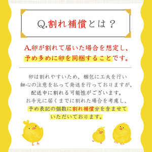 No.779 ＜定期便・全6回(連続)＞鹿児島県産美山オリーブ卵(40個×6ヶ月連続) 割れ保証付 国産 九州産 鹿児島県産 たまご タマゴ オリーブ 卵 鶏卵 生卵 おかず TKG 卵かけご飯 朝食 定期便 頒布会 数量限定【美山たまご王国】