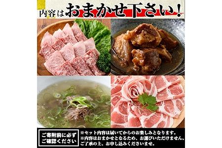 訳あり お肉屋の肉袋 お楽しみ福袋 合計1kg以上 賞味期限間近 カミチク No.834