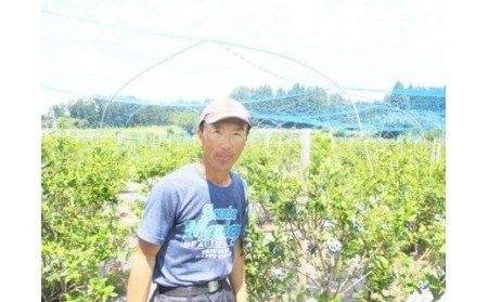 尾花沢産とれたて完熟ブルーベリー 生果実 1kg 500g×2パック 7月中旬~下旬頃発送 令和8年産 2026年産 ブルーベリー 果物 フルーツ 産地直送 kb-bbxxx1000 ※沖縄・離島への配送不可