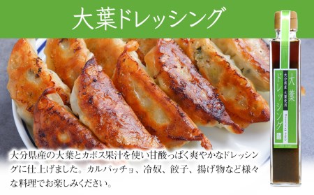 蔵元の逸品 厳選素材ドレッシングセット 柚子ごしょう かぼす 大葉 200ml × 各1本 ( 合計3本 ) | 田中醤油 ドレッシング ノンオイルドレッシング 調味料 柚子胡椒 カボス セット 詰め合わせ 大分県産 九州産 大分県 中津市