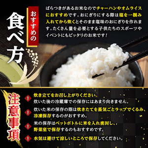 出水産 ブレンド米 10kg 訳あり 白米 精米 数量限定 【田上商店】 i673