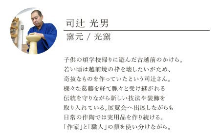【越前焼】光窯 ビアマグ えくぼ ペア 桐箱入り（木灰 × 1個 ＆ 志野 × 1個）【 贈答品 マグカップ 陶器 福井県 伝統工芸品 】 [e25-a003]