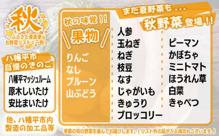【旬の野菜セット】八幡平のふるさと産直箱（小）【隔月／計3回】  ／ 野菜 採れたて 新鮮 おまかせ 詰め合わせ 野菜の詰合せ やさい 季節 旬 産直箱 産地直送 直送 葉物 自宅用 家庭用 お取り寄せ お取寄せ 人気 おすすめ オススメ 【あすぴーて】
