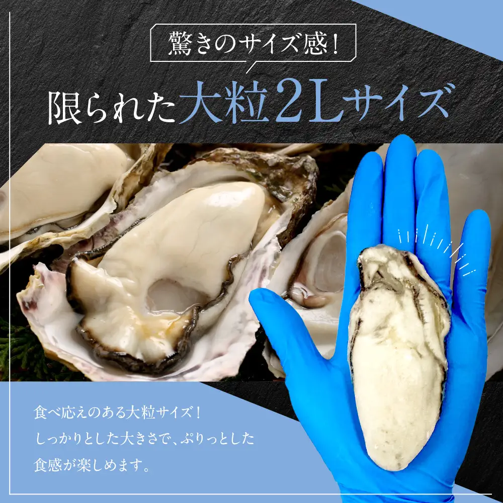 広島県産冷凍スチーム牡蠣 2L 約1kg