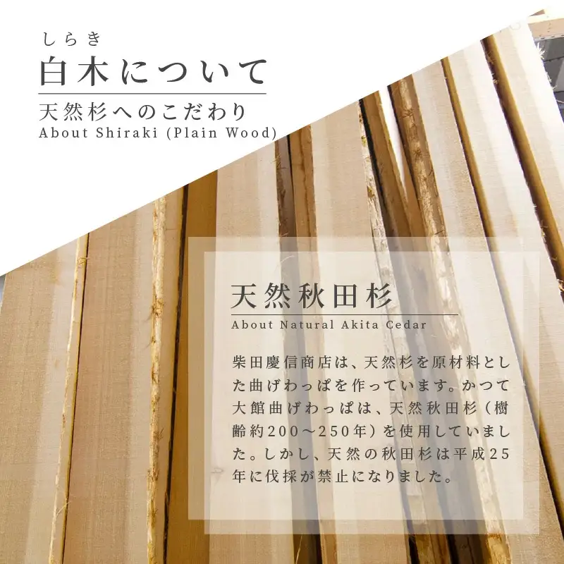 【大館曲げわっぱ】白木　長手弁当箱(中) 【配送日指定不可】　265P6010