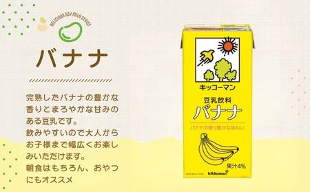キッコーマン 豆乳飲料 バナナ 1000ml 12本セット 1000ml 2ケースセット