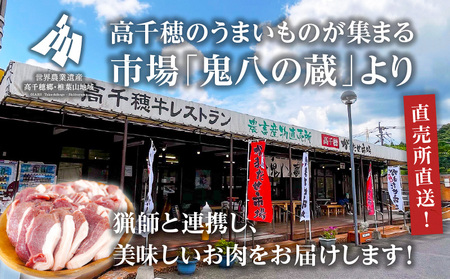 天然猪肉 スライス 700g 宮崎県高千穂町産 ジビエ 天然 猪肉 いのしし ジビエ ジビエの王様 狩猟肉 獣肉 狩猟 加工済み 処理済み 高タンパク 焼肉 鍋 ぼたん鍋 BBQ キャンプ グランピング アウトドア お取り寄せグルメ グルメ 料理 おかず 冷凍 高千穂町産 宮崎県 高千穂町 _Tk005-084
