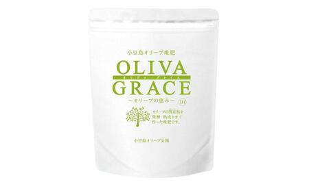 オリーブの苗木 50cm 2本 と オリーブたい肥 1袋
