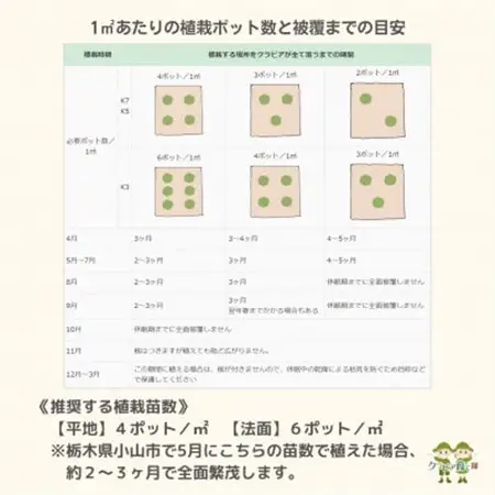 グランドカバー植物「クラピアK7」20ポット苗セット【お申込書返信後、ご希望日に合わせて発送】【1339002】