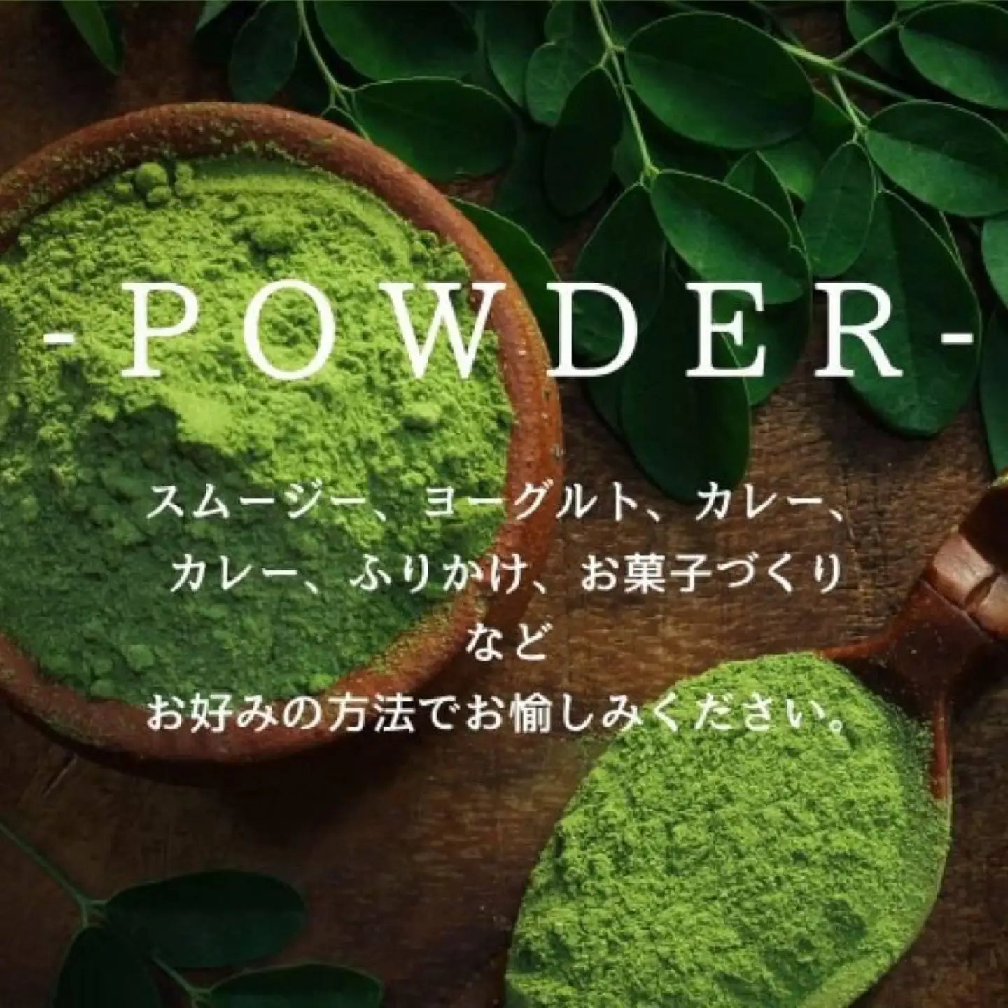 モリンガティー・モリンガパウダー【FOREST ISLAND】｜ 無添加 モリンガパウダー モリンガ 粉末 モリンガ茶 国産モリンガ バージンモリンガ