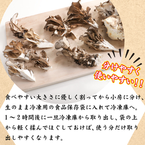 【早期予約 2026年9月発送開始予定】 生まいたけ 大株 約800g 【安比まいたけ】 ／ 生 まいたけ 安比 舞茸 マイタケ 国産 岩手県産 きのこ キノコ 茸 野菜 一株 炊き込みご飯 炊込みご飯 天ぷら てんぷら 味噌汁 みそ汁 煮物 お鍋 鍋 すきやき すき焼き ソテー 炒めもの パスタ おすすめ