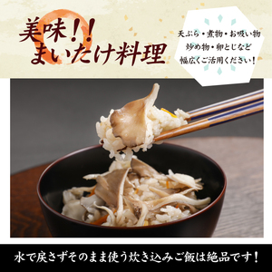【早期予約 2026年9月発送開始予定】 乾燥まいたけ 30g×2 自然農法栽培 【安比まいたけ】 ／ 舞茸 まいたけ マイタケ きのこ キノコ 茸 国産 岩手県産 乾燥 干し舞茸 ドライ きのこ 出汁 だし 天ぷら てんぷら 味噌汁 みそ汁 煮物 保存食 炊込みご飯 お吸い物 パスタ 贈り物 ギフト おすすめ