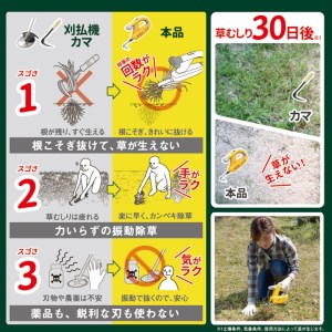 Musashi WE-750 除草バイブレーター〈除草 ムサシ 除草グッズ 草取り 日用品 返礼品 ギフト プレゼント 持ち運べる 便利 送料無料 おすすめ〉【2403O10807】