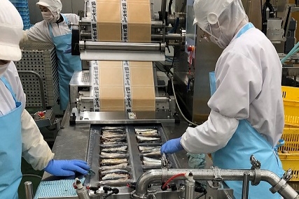 大トロさば文化干し 6枚 茨城県共通返礼品 神栖市産 干物 大トロ さば文化干し サバ 鯖 干物セット 自宅用 おかず さば 文化干し 冷凍 特選 魚 海鮮 新鮮 美味しい おいしい 和食 おつまみ 青魚 DHA 抗酸化 健康