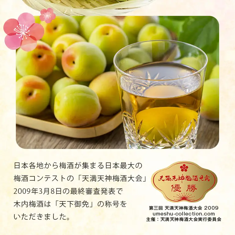 梅酒 木内梅酒 3本セット 500ml×3本 父の日 まだ間に合う 果実酒 ウメ 人気 お土産 ギフト フルーティー 内祝い ご褒美 国産 紀州南高梅使用 お歳暮 お歳暮ギフト プレゼント お中元 敬老の日 うめ酒 梅酒 酒 アルコール 梅 常温 常温保存 
