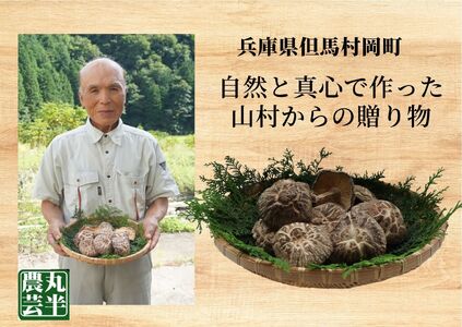 【贈答用　箱入りしいたけ　210ｇ】 きのこ キノコ 椎茸 しいたけ シイタケ 乾燥椎茸 原木乾燥しいたけ 原木栽培 最上級 肉厚 煮物 鍋 だし汁 12000円 55-01